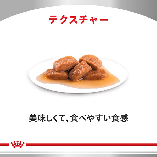 食事療法食］ロイヤルカナン 猫用 早期腎臓サポート ウェット パウチ