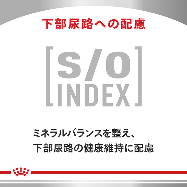 食事療法食］ロイヤルカナン 猫用 早期腎臓サポート ウェット パウチ