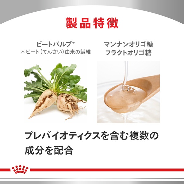 食事療法食］ロイヤルカナン 犬用 消化器サポート 高繊維 ウェット 缶