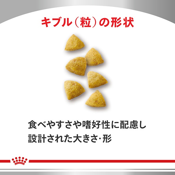 食事療法食］ロイヤルカナン 猫用 低分子プロテイン ドライ 500g