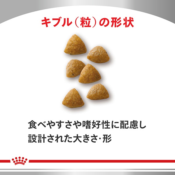 食事療法食］ロイヤルカナン 猫用 腎臓サポート スペシャル ドライ 4kg