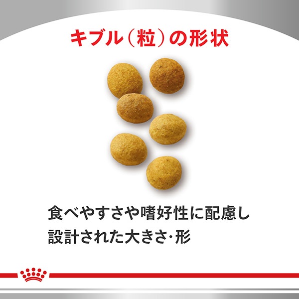 食事療法食］ロイヤルカナン 猫用 アミノペプチド フォーミュラ ドライ