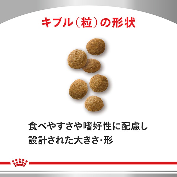 食事療法食］ロイヤルカナン 猫用 ユリナリーS/O+CLT ドライ 4kg