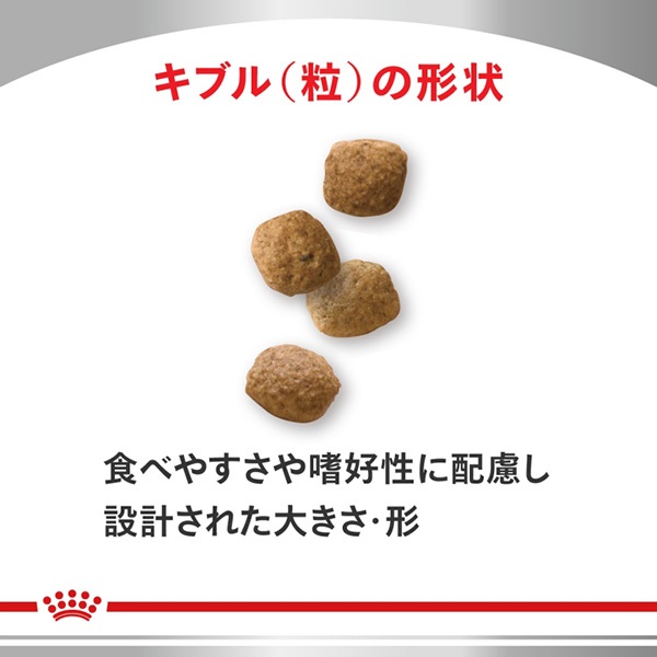食事療法食］ロイヤルカナン 犬用 ユリナリーS/O+満腹感サポート