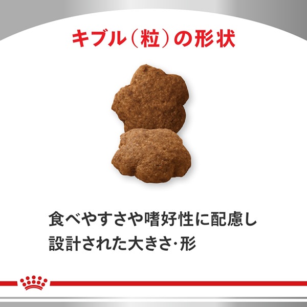 食事療法食］ロイヤルカナン 犬用 消化サポート（低脂肪） トリーツ
