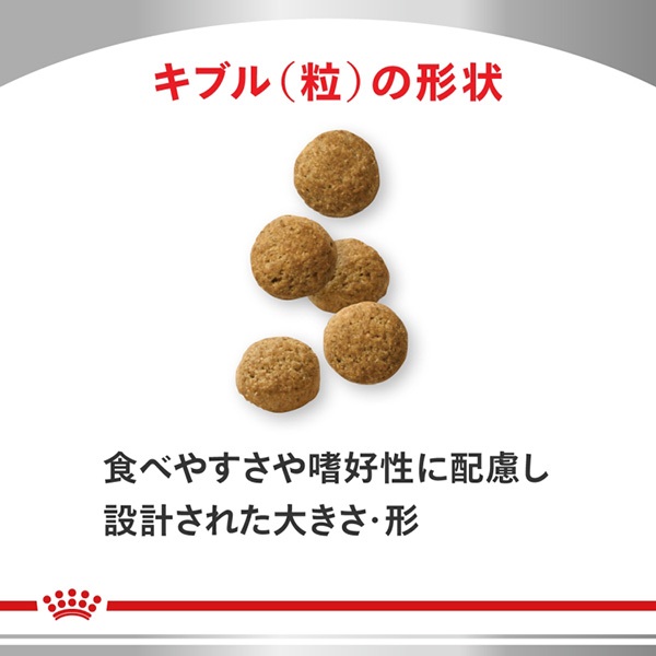 食事療法食］ロイヤルカナン 犬用 満腹感サポート 小型犬用 ドライ 3kg