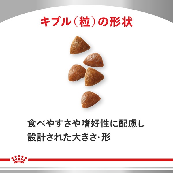 食事療法食］ロイヤルカナン 犬用 消化器サポート パピー ドライ 1kg