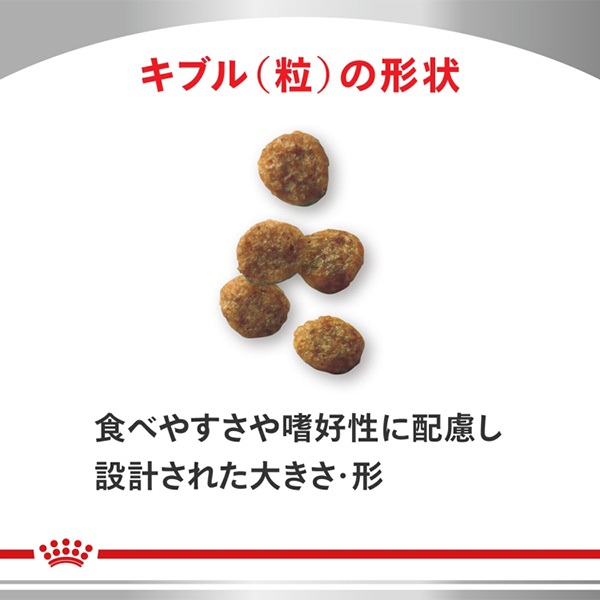 食事療法食］ロイヤルカナン 犬用 セレクトスキンケア ドライ 3kg