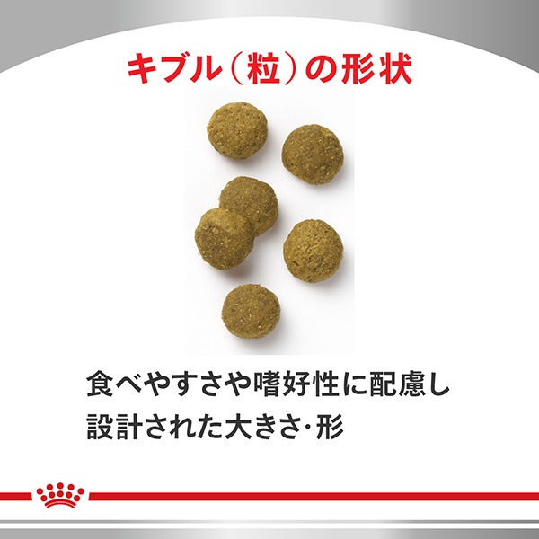 食事療法食］ロイヤルカナン 猫用 心臓サポート ドライ 2kg | ペット