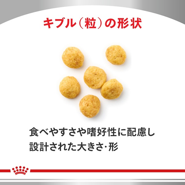 食事療法食］ロイヤルカナン 犬用 ユリナリーS/O+低分子プロテイン
