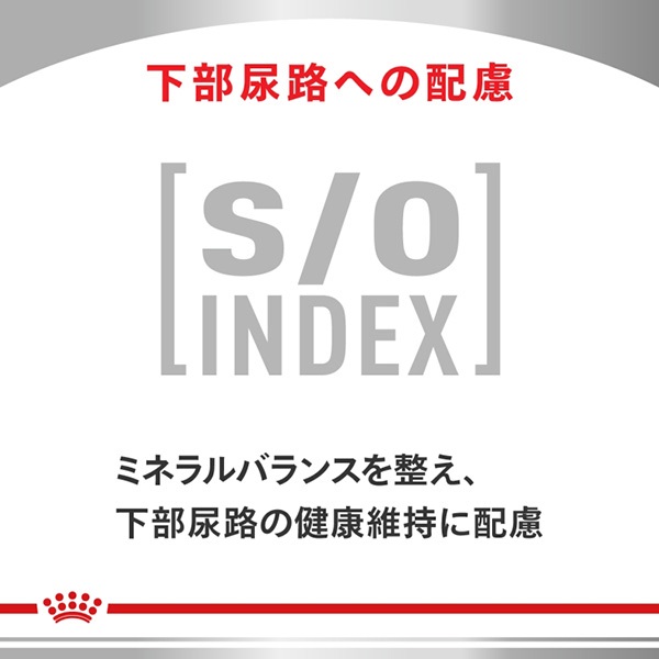 食事療法食］ロイヤルカナン 犬用 ユリナリーS/O+低分子プロテイン
