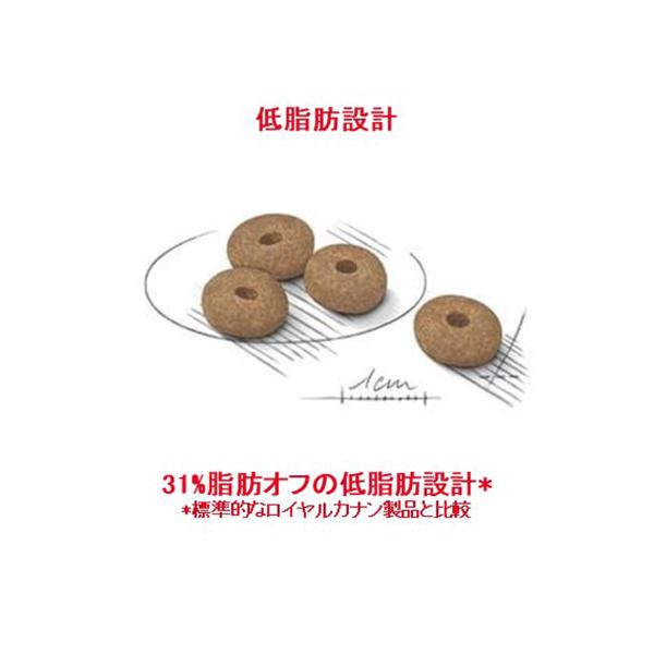 セット販売】ロイヤルカナン ケーナイン ケア ニュートリション