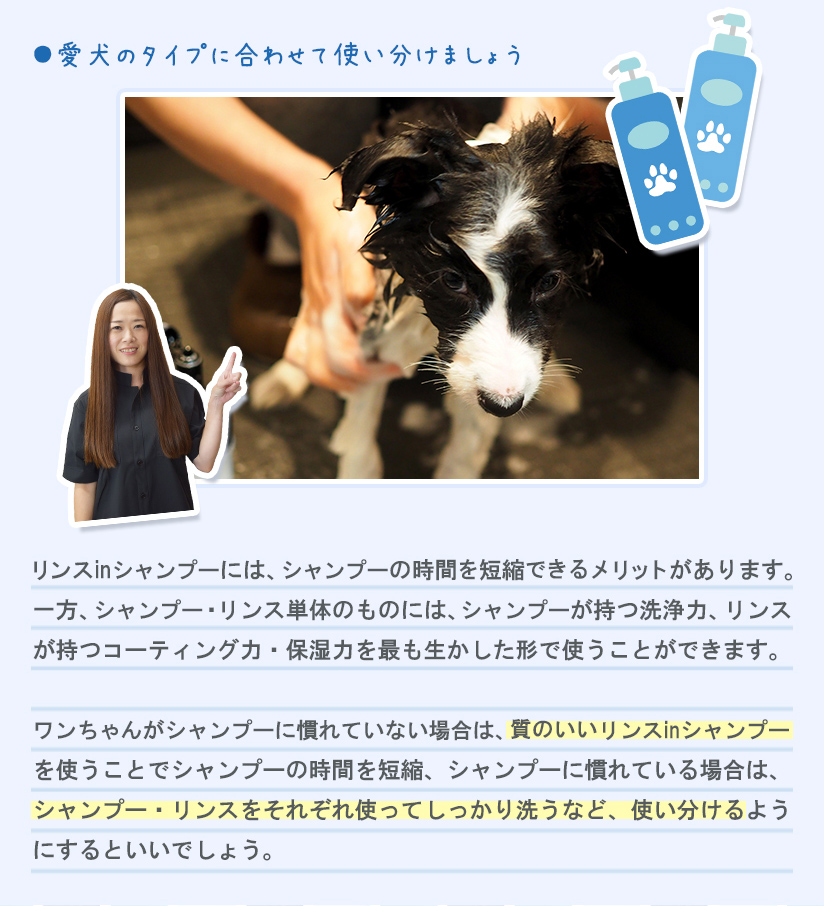 お悩み２ ワンちゃんに合ったシャンプーがわからない