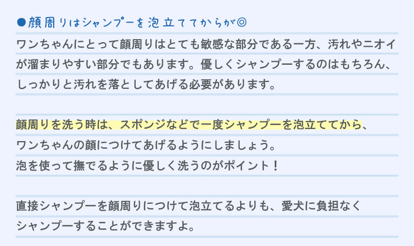 お悩み4 顔周りの洗い方が難しい