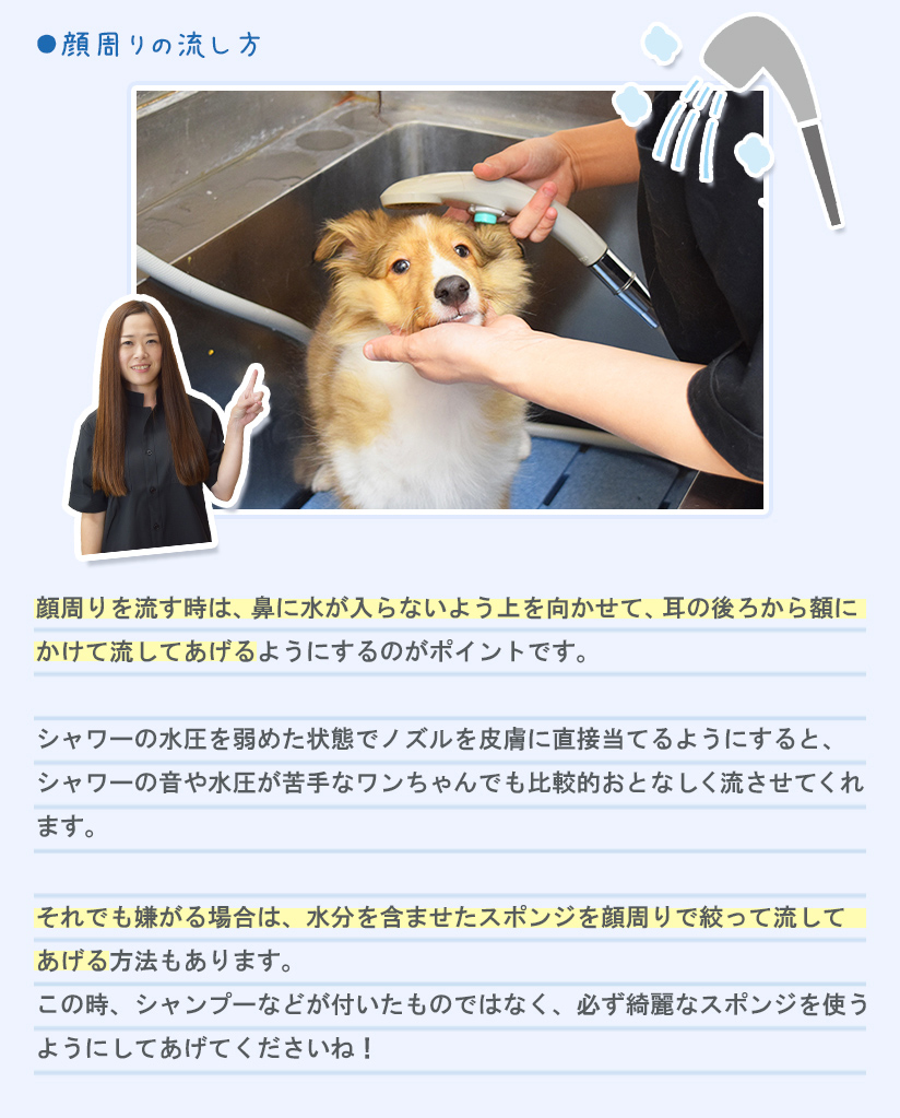 お悩み4 顔周りの洗い方が難しい