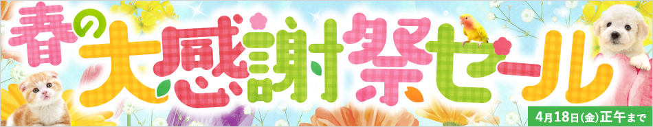 セール