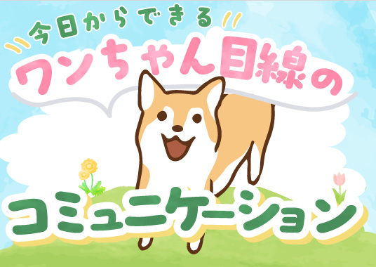 今日からできる！ワンちゃん目線のコミュニケーション