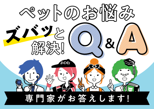 ペットのお悩みズバッと解決！Q&A
