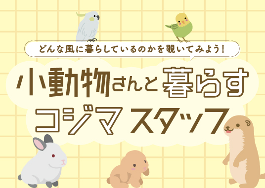 小動物さんと暮らすコジマスタッフ