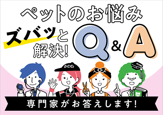 ペットのお悩みズバッと解決！Q&A