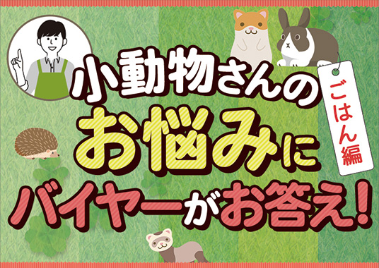小動物さんのお悩みにバイヤーがお答え！ごはん編