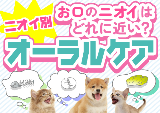 お口のニオイはどれに近い？ニオイ別オーラルケア