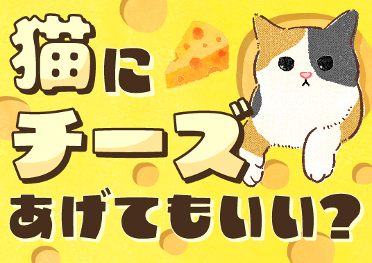 猫にチーズあげてもいい？
