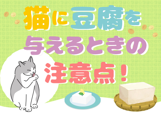 猫に豆腐を与えるときの注意点！