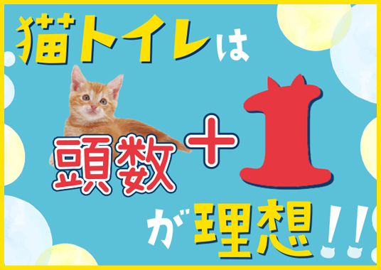 猫トイレは頭数+1が理想！！