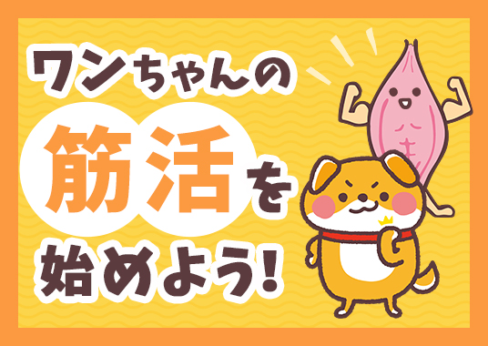 ワンちゃんの筋活を始めよう！