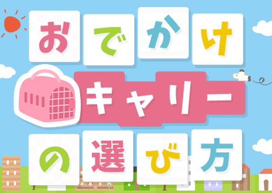 おでかけキャリーの選び方