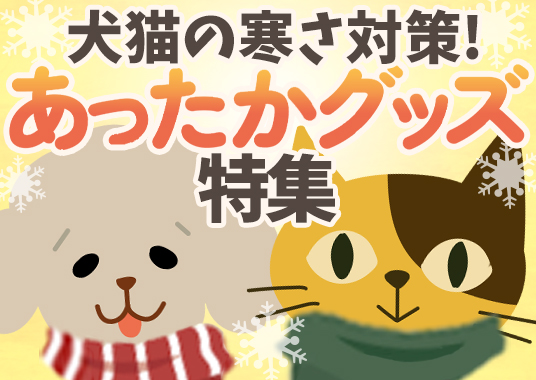 犬猫の寒さ対策！あったかグッズ特集