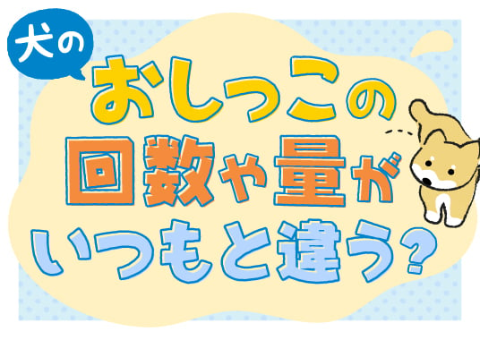 犬のおしっこの回数や量がいつもと違う？