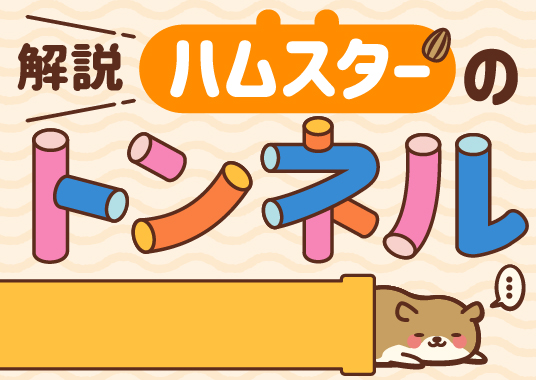 解説！ハムスターのトンネル
