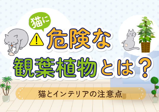 猫に危険な観葉植物