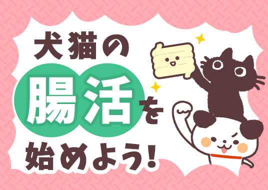 犬猫の腸活を始めよう！