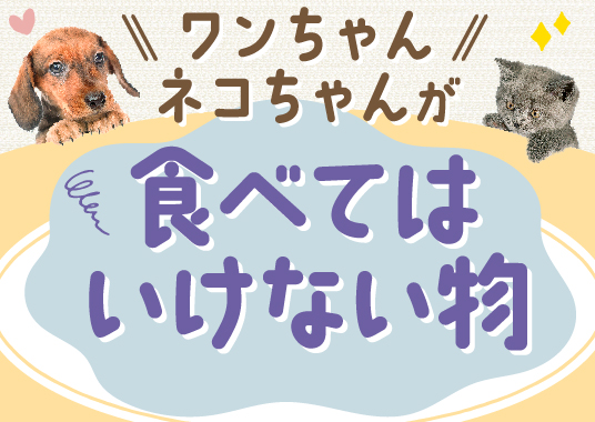 ワンちゃん・ネコちゃんが食べてはいけない物