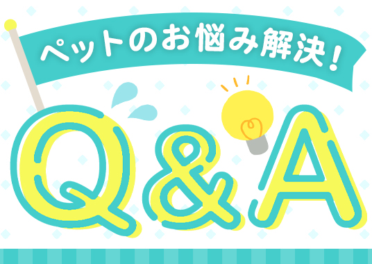 ペットのお悩みQ＆A