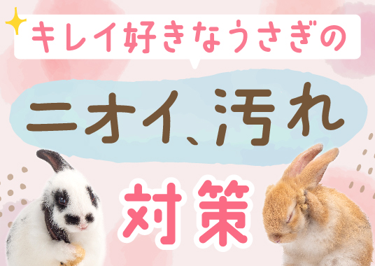キレイ好きなうさぎのニオイ、汚れ対策
