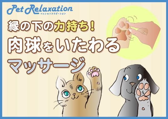 縁の下の力持ち！肉球をいたわるマッサージ