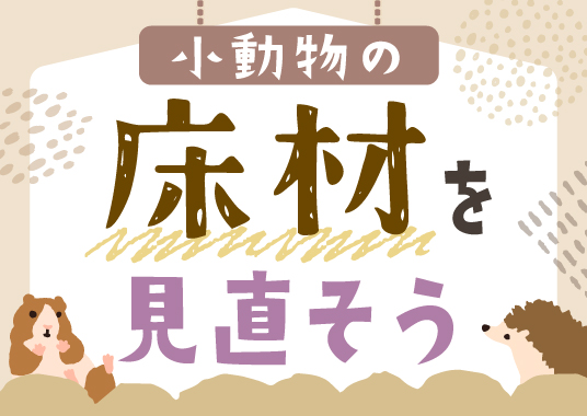 ハムスターの床材はどれがいい？