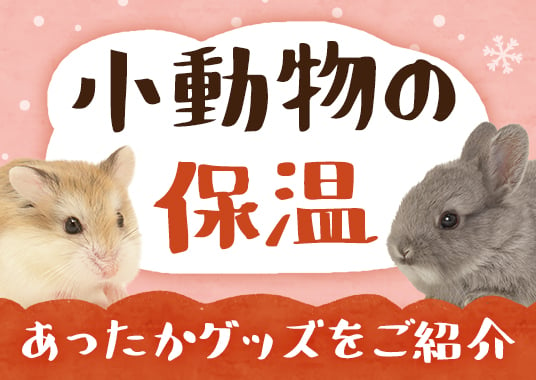 小動物の保温 あったかグッズ