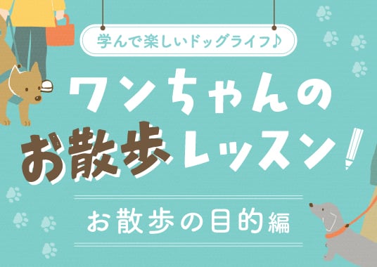 ワンちゃんのお散歩レッスン【お散歩の目的編】