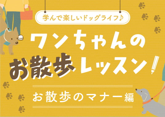 ワンちゃんのお散歩レッスン【お散歩のマナー編】