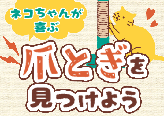 ネコちゃんが喜ぶ爪とぎを見つけよう