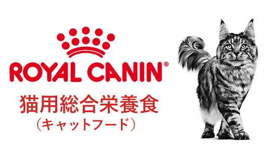 猫に最適な栄養バランスを提供する『ロイヤルカナン 猫用総合栄養食』