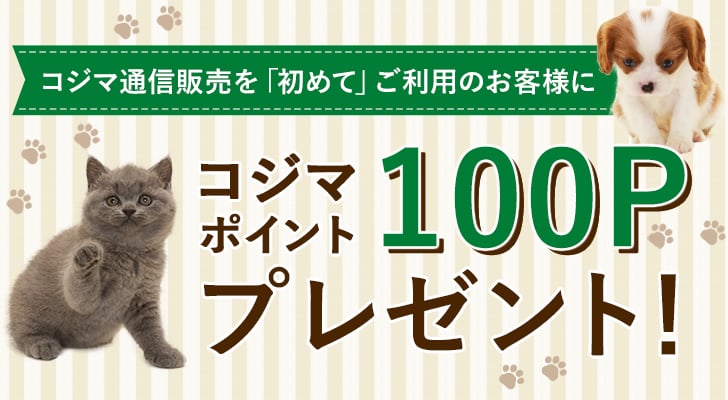 コジマ通販初めてご利用お客様に100Pプレゼント