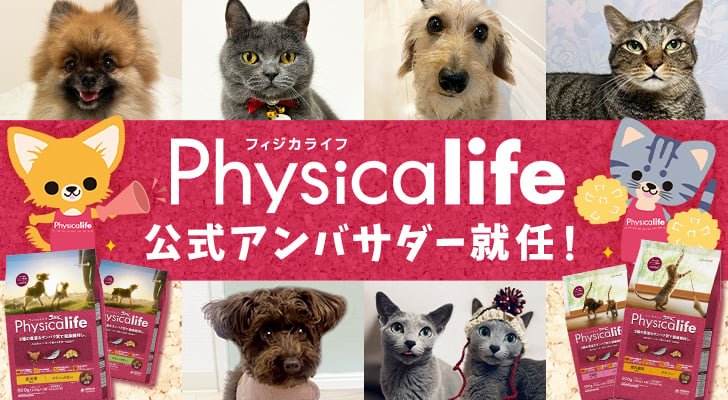 Physicalife（フィジカライフ）公式アンバサダー