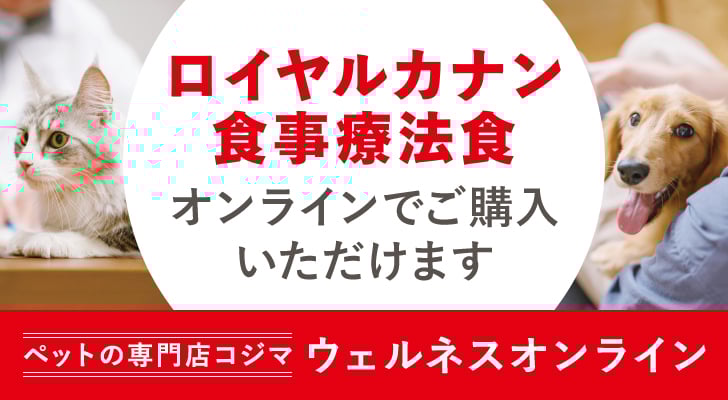 ロイヤルカナン食事療法食オンラインでご購入いただけます ペットの専門店コジマ ウェルネスオンライン