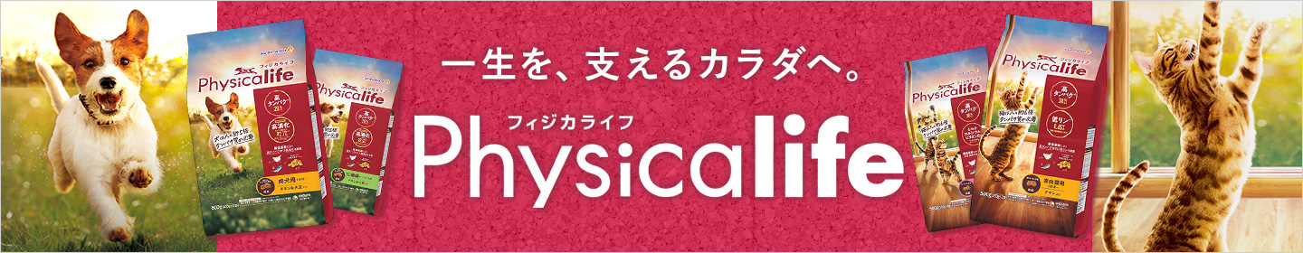physicalife